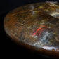 Spécimen Fossile d'ammonite de Madagascar