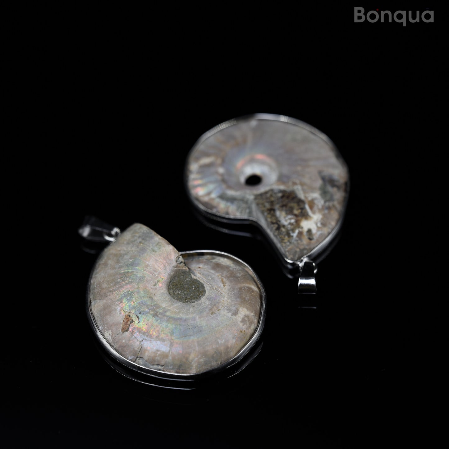 Pendentif Ammonite Fossile