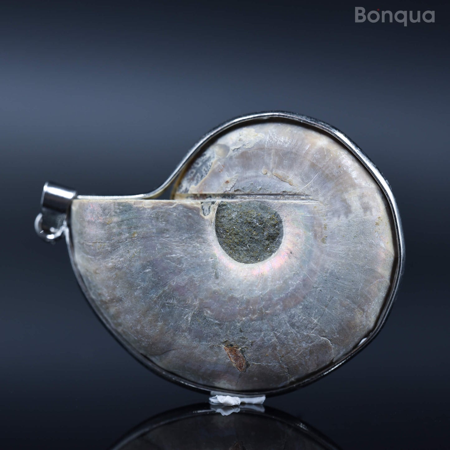 Pendentif Ammonite Fossile