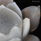 Sculpture Lotus en Agate Druse