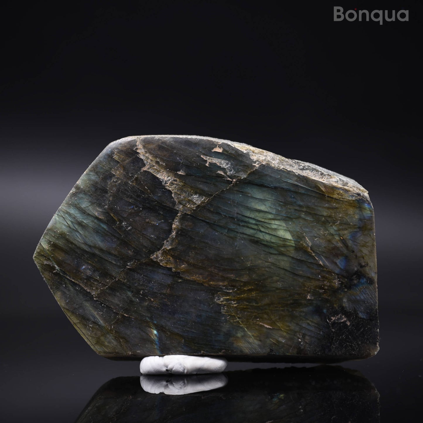 Tranche de Labradorite
