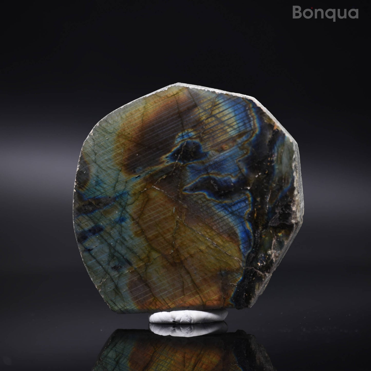 Tranche de Labradorite